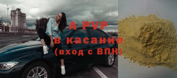 сатива Балахна