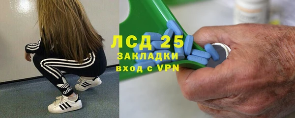 сатива Балахна