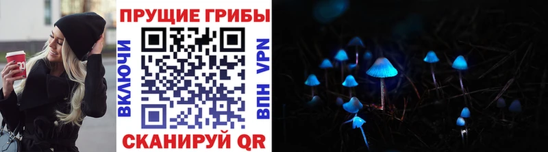 кракен маркетплейс  Каспийск  площадка Telegram  Псилоцибиновые грибы Cubensis 